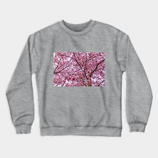 Pink Flower Explosion Crewneck Sweatshirt